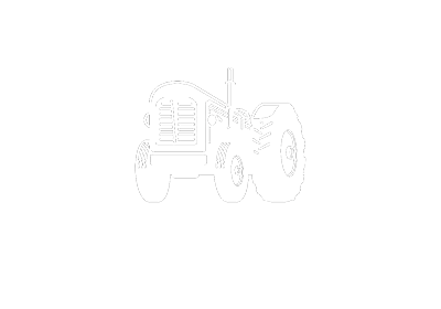Beau's