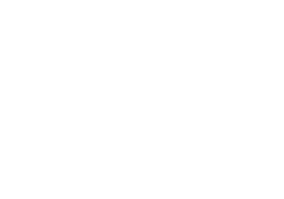 The Food Dudes